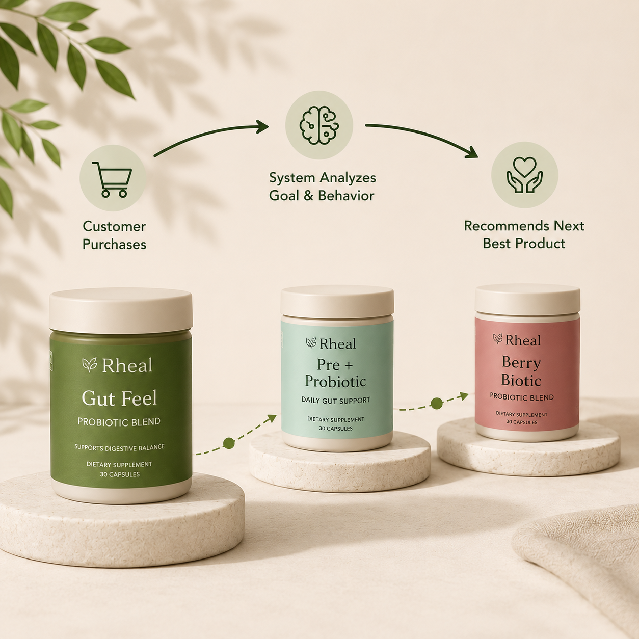 Strategy 1 — Wellness Goal Expansion